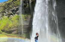 Golden Circle and South Coast Highlights Private Tour