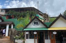 Bob Marley's Nine Mile Guided Full Day Tour from Montego Bay