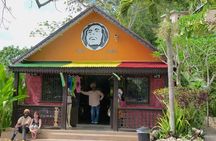 Bob Marley's Nine Mile Guided Full Day Tour from Montego Bay