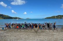 Create A Castle Sandcastle Lessons