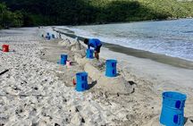 Create A Castle Sandcastle Lessons