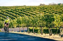 From Seattle Wine Tasting, Vineyards in Eastern WA