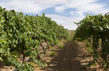 From Seattle Wine Tasting, Vineyards in Eastern WA