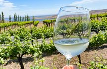 From Seattle Wine Tasting, Vineyards in Eastern WA