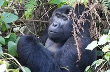5 Days Uganda Primates Safari