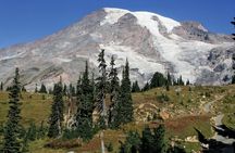 Mt. Rainier tour with Gandola ride at Sunrise and Paradise