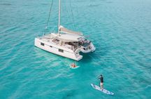 Mykonos Shared Catamaran Tour Experience