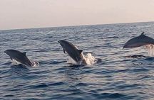 Bali and Lovina with Sunrise Dolphin Tour and Snorkeling