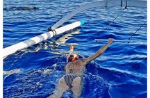 Bali and Lovina with Sunrise Dolphin Tour and Snorkeling