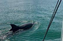 Venado Island, island cultural tour and floating restaurant