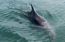 San Lucas Island National Park tour.