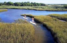 Intro to Stand Up Paddling
