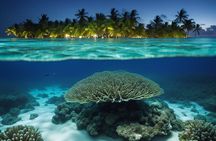 Private Bioluminescent Bay Tour