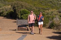 Half Day Cape Point and Boulders Beach Penguin Group Tour