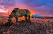 Mongolian Tour to Ancient Capital City of Mongol Empire 