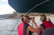 Bird Watching boat tour in the Gulf of Nicoya