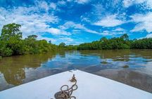 Bird Watching boat tour in the Gulf of Nicoya