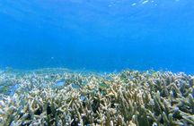 7 Secret Gilis: Private Snorkeling Escape to Hidden Paradise
