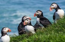 South Coast Glacier Lagoon and Diamond Beach Private Tour