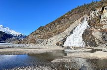 Juneau Top Sight Seeing Group Tour 