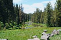 Guided ATV Tours and Explore Hidden Gems in the Yellowstone area