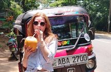 Kandy to Sigiriya Day Tour by Tuk Tuk