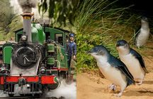 Puffing Billy Tour and Penguin Parade from Melbourne 