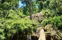 Napuru Waterfalls & Coffee Farm Tour: Pure Nature & A Cup of Soul