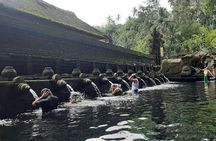 From Ubud: Waterfall, Water temple & rice terrace private tour