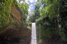 From Ubud: Waterfall, Water temple & rice terrace private tour