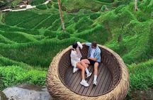 From Ubud: Waterfall, Water temple & rice terrace private tour