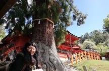 Private Full-Day Nara Tour Hozanji Temple Cable Car and Nara Park