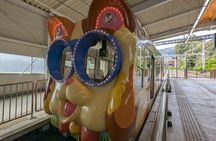 Private Full-Day Nara Tour Hozanji Temple Cable Car and Nara Park