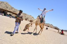 Hurghada 3 Hours Safari Quad Bike, Camel ride and free shopping