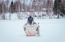 Kuoksa Reindeer Farm Visit with a Short Sleigh Ride