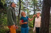  Forest Hike with Guide & Husky + Cabin Snack Break