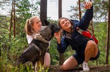  Forest Hike with Guide & Husky + Cabin Snack Break