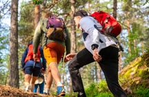  Forest Hike with Guide & Husky + Cabin Snack Break