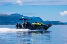 Shared Speedboat Tour of Trollfjorden Norway from Sortland