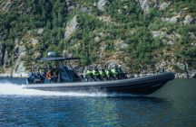 Shared Speedboat Tour of Trollfjorden Norway from Sortland