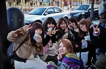 Nikko Day Tour World Heritage & Nature with English speak Driver