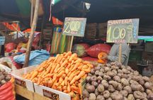 Tours of Ceviche + Pisco Souer 