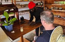 Buggy, horse and plantation ranch