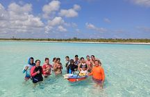Shared Snorkeling Playa El Cielo in Cozumel