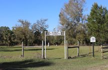 1 Hour Guided Horseback Trail Ride Rock Springs Run State Reserve