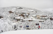 Melbourne: Mt Buller Day Tour