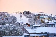 Melbourne: Mt Buller Day Tour