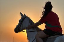 Sunset Horseback Ride in Marrakech’s Palmeraie pickup & drop-off
