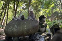 All Inclusive Ubud Tour with Rice Terrace, Waterfall and Temple