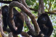 San Lucas Island National Park tour.